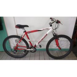 Specialized "Rockhopper" Mountain Bike