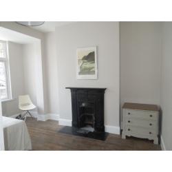 Double Room in Denmark Hill