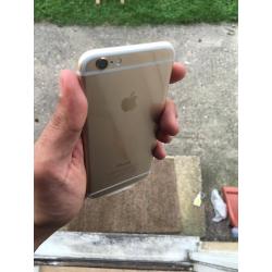 Brand new in box iphone6 16gb in Gold