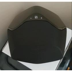 Bang and olufsen swaps
