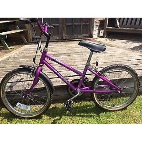 Bargain "vintage" kids bike