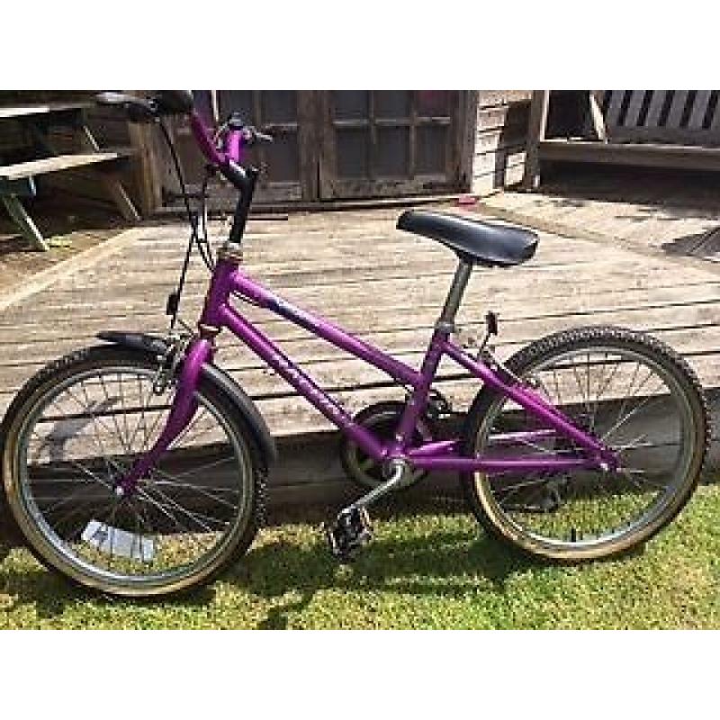 Bargain "vintage" kids bike