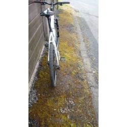 Mongoose mountain bike