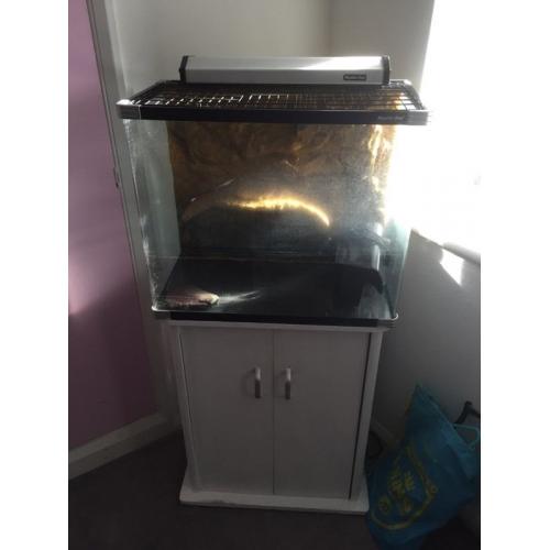 Reptile tank