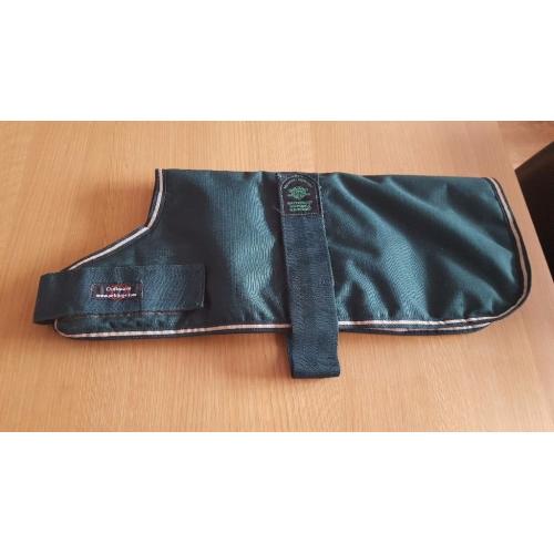 Outhwaite green dog coat.
