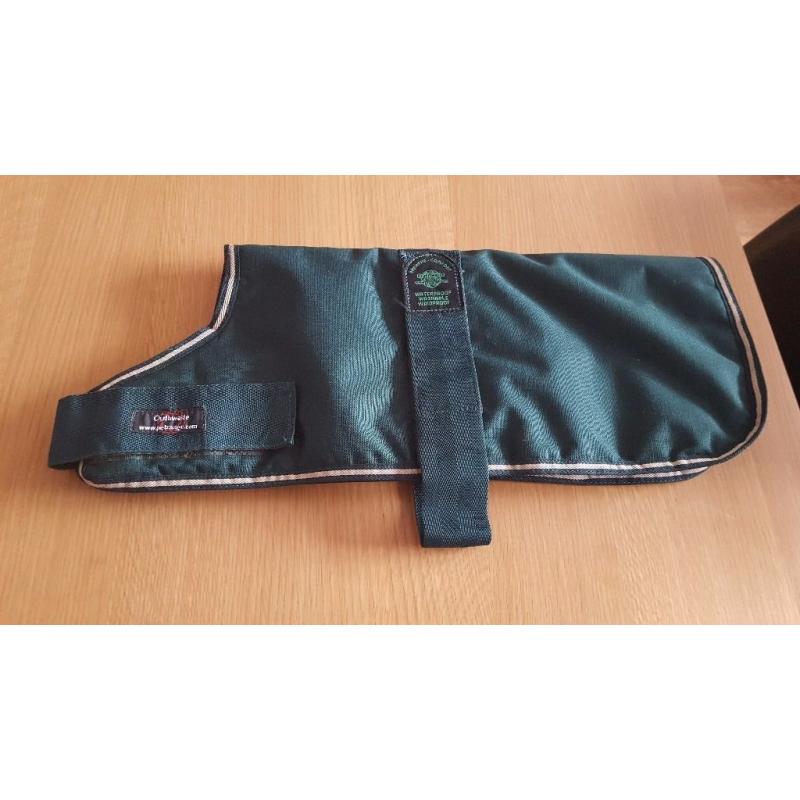 Outhwaite green dog coat.