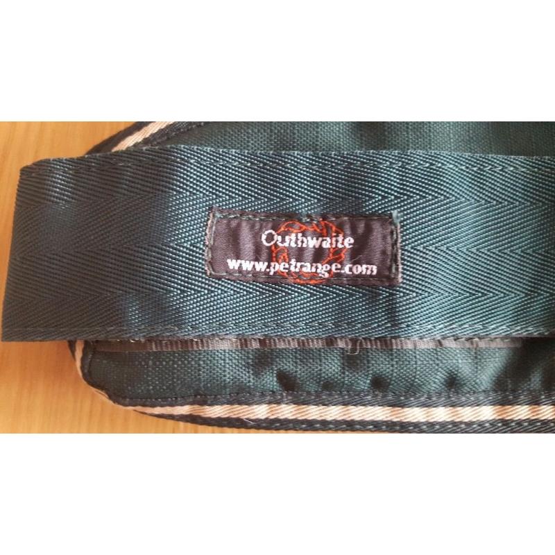 Outhwaite green dog coat.