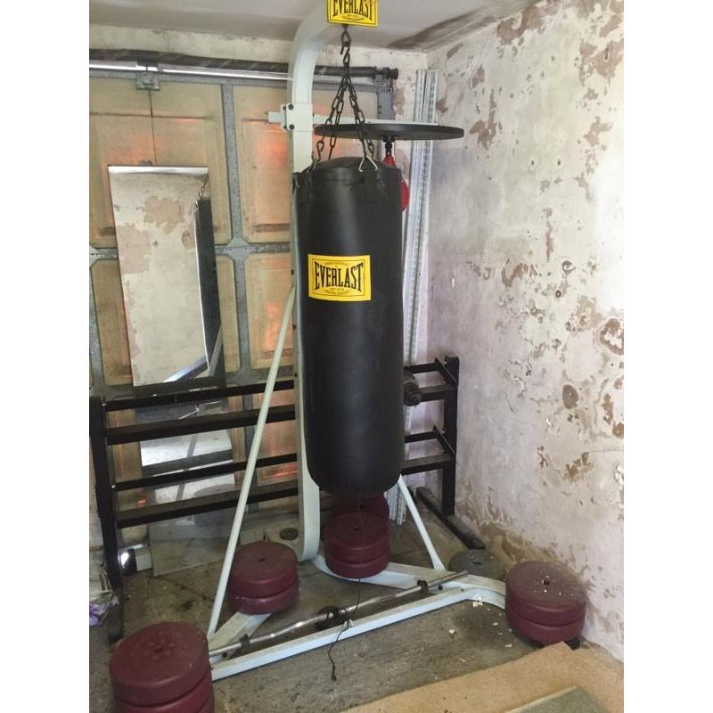 EVERLAST PUNCH BAG AND SPEED BAG BALL STAND!!