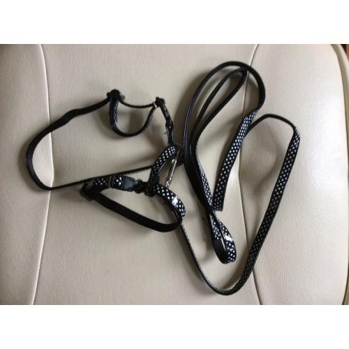 Small dog lead and harness