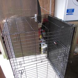 Dog Cage X large.