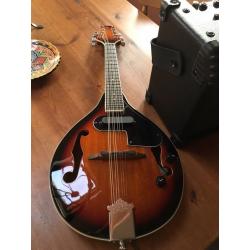 Mandolin