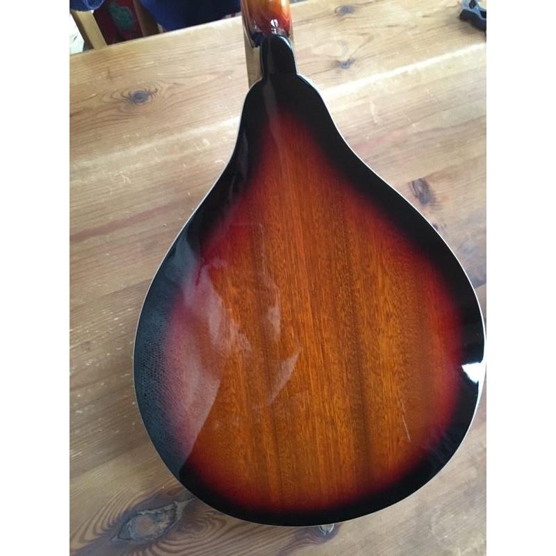 Mandolin