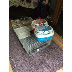 Guinea pig/ rabbit cage
