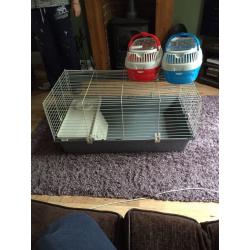 Guinea pig/ rabbit cage