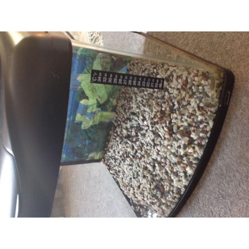SUPERFISH AQUA 60 BOW FRONTED AQUARIUM