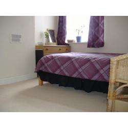 Friendly Housemate Wanted