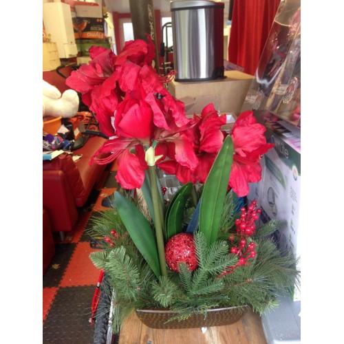 amaryllis centre piece