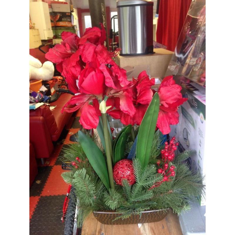 amaryllis centre piece