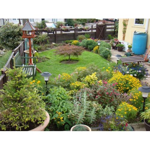 LET ME MAKE YOUR GARDEN LOOK GREAT TEL...07523101861 ALL AREAS COVERED