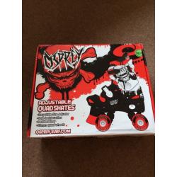 BNIB ROLLER BOOTS