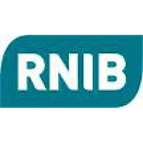 RNIB Street and Store Collectors - Wales 9130