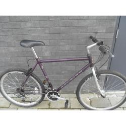 Raleigh city bicycle