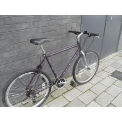 Raleigh city bicycle