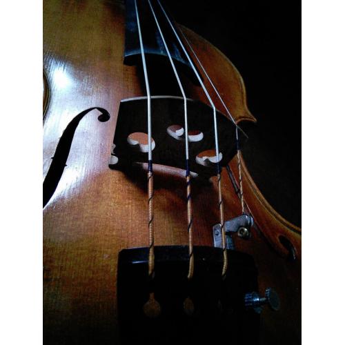 FIDDLER/VIOLINIST/VIOLIST available