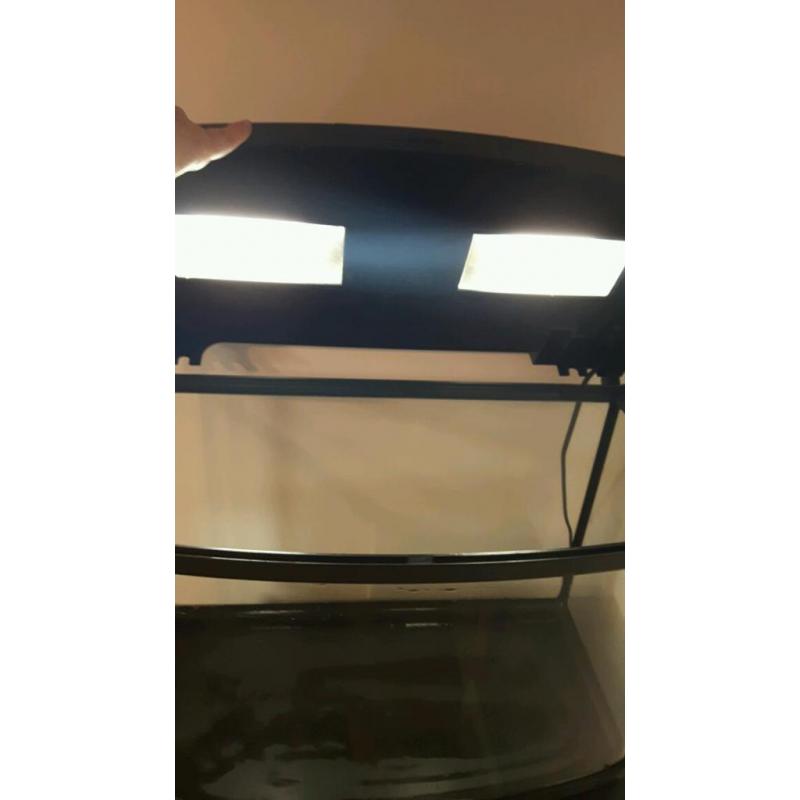 64L interpret fish tank with stand and accessories