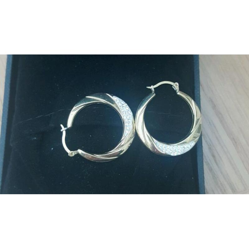 Brand new unwanted gift Earings