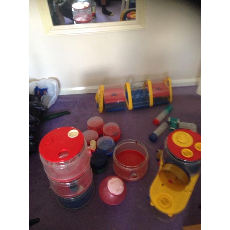 Hamster equipment
