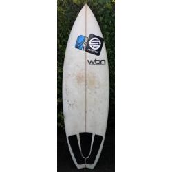 Waterborn Surfboard 5'6"