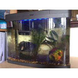 Tropical/ Cold Water 40L Fish Tank