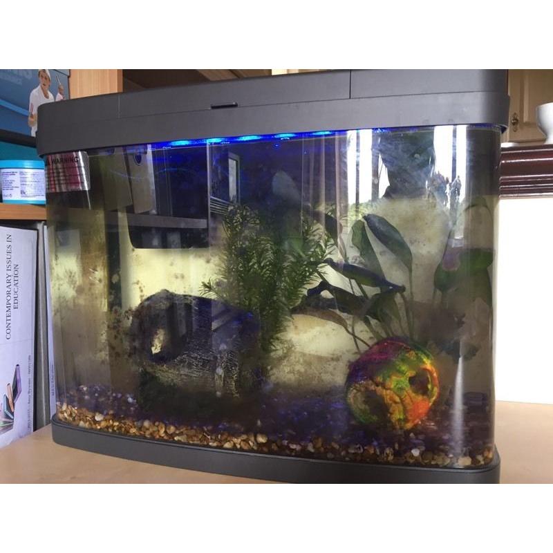 Tropical/ Cold Water 40L Fish Tank