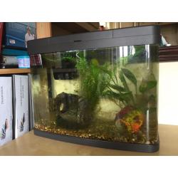 Tropical/ Cold Water 40L Fish Tank