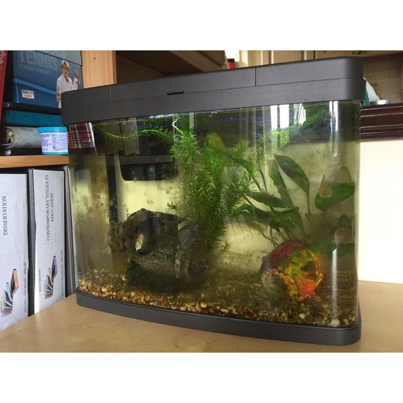 Tropical/ Cold Water 40L Fish Tank
