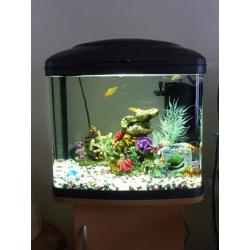 Fish Tank 48 Litre