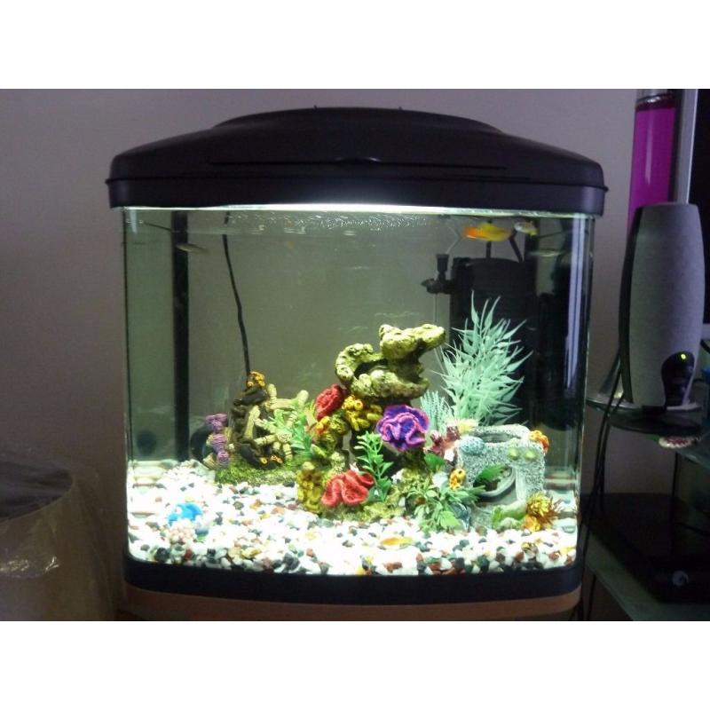 Fish Tank 48 Litre