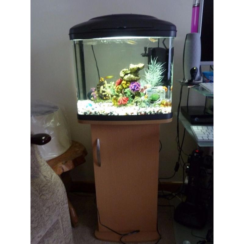 Fish Tank 48 Litre