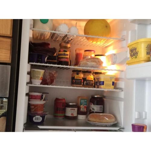 INTEGRATED FRIDGE 530 X 870
