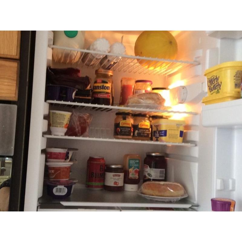 INTEGRATED FRIDGE 530 X 870