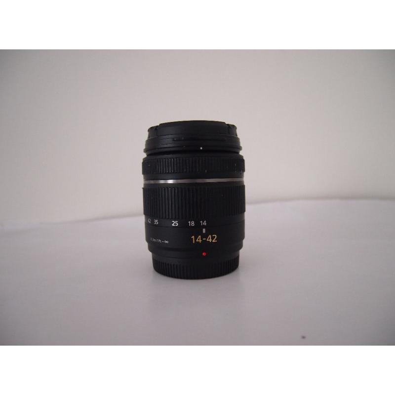 Panasonic Lumix 14-42mm lens.
