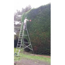 Garden hedge cutting and tree service