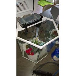 Two used Fish R Fun Hex Aquarium tanks, one in White, one in Grey
