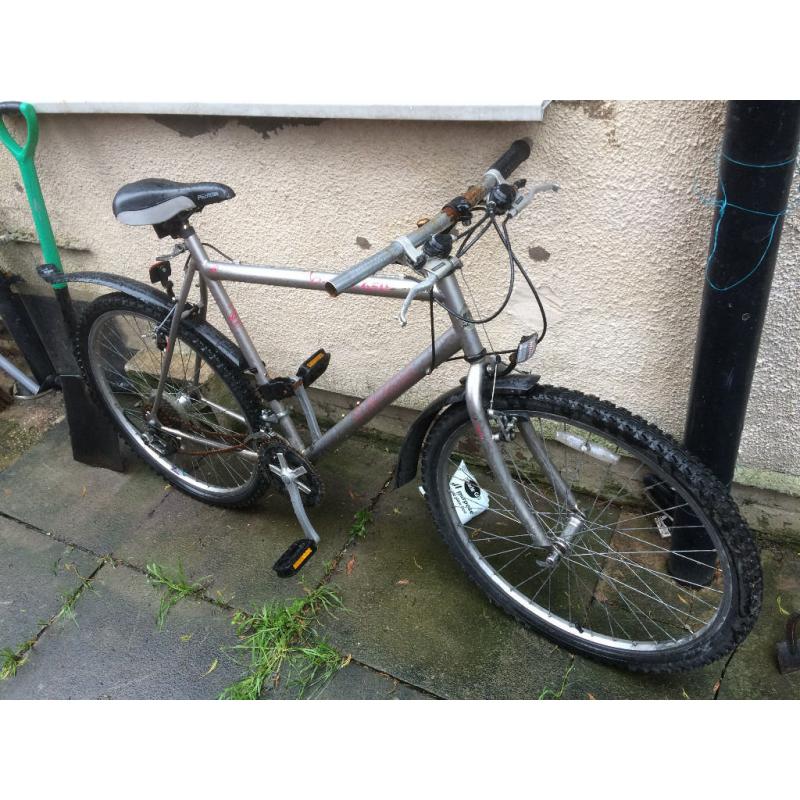 adult mountain bike (SORRY NOW SOLD)