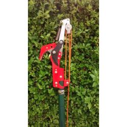 Telescopic Tree Pruners