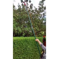 Telescopic Tree Pruners
