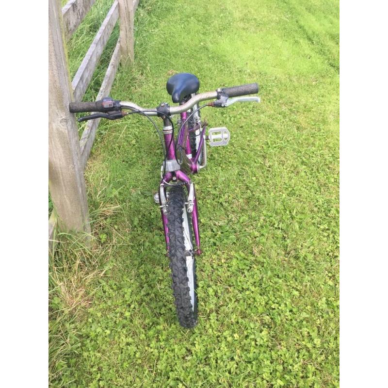 Bicycle