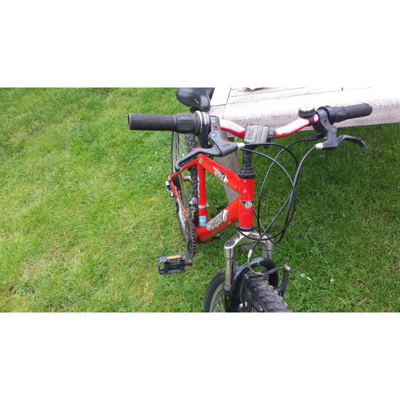 Teen/Children's Bicycle - Red, Freespirit - 18 Gears