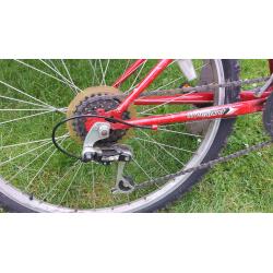Teen/Children's Bicycle - Red, Freespirit - 18 Gears
